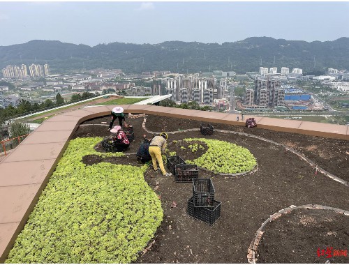 无锡绿化工程建筑咨询